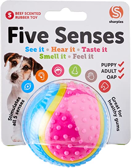 Five Senses Sensory Ball